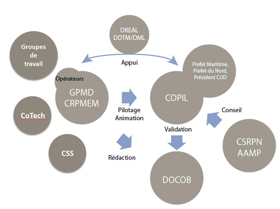 Banc des Flandres équipe projet