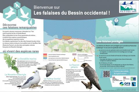 Sensibilisation à la réglementation autour des falaises du Bessin
